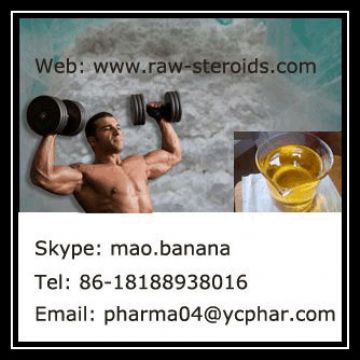 Anabolic Steroids Powder Trenbolone Enanthate (Parabolan) Cas: 472-61-5